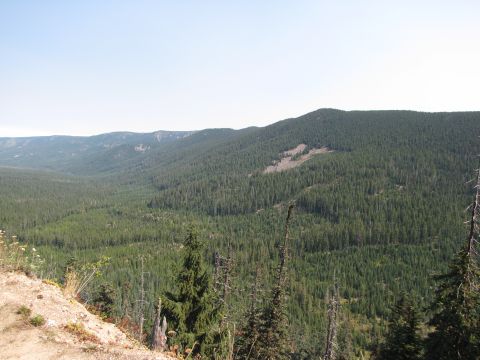 1992 Ford F-150 - A wide view of a heavily forested mountain range under a clear sky, with a dirt embankment in the foreground.
