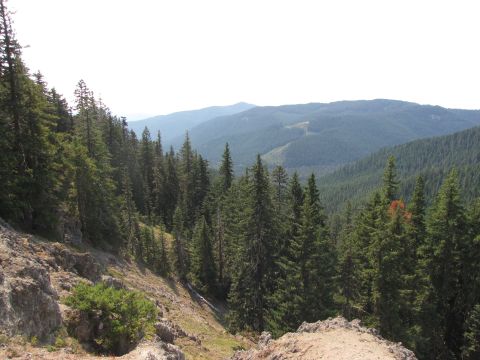 1992 Ford F-150 - Mountain landscape with pine trees and rocky foreground. Supermotors.net logo visible.