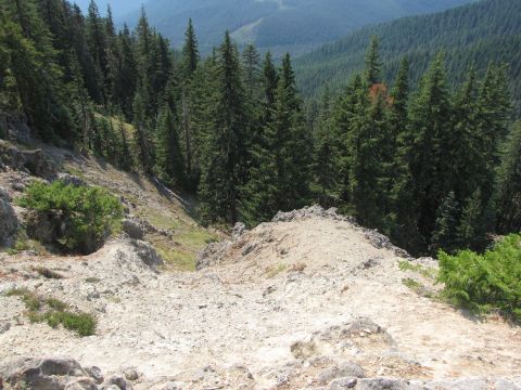 1992 Ford F-150 - A view from a rocky incline overlooking a vast forest and valley, with a watermark at the bottom right.