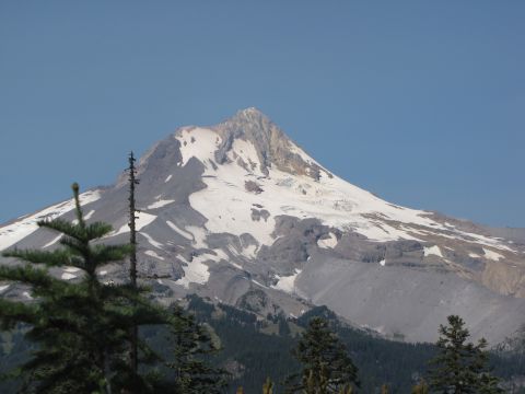 1992 Ford F-150 - A snow-covered mountain dominates the landscape, framed by dark green pine trees under a clear blue sky.