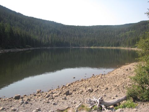 1992 Ford F-150 - A calm lake reflects the surrounding evergreen forest under a clear sky.