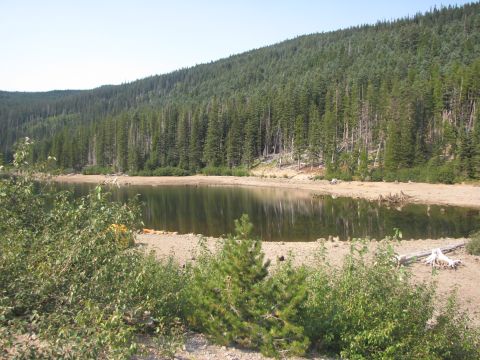 1992 Ford F-150 - A lake is surrounded by a thick forest, with sandy shores in the foreground.