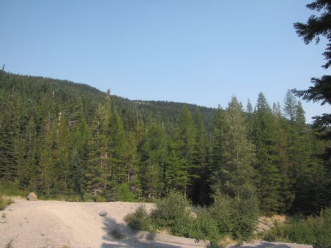 1992 Ford F-150 - Dirt road winds through a dense pine forest on a clear day. Watermark visible at the bottom right.