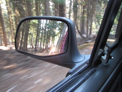 1992 Ford F-150 - Driving on a dirt road through a forest, with a reflection of another vehicle in the side mirror.