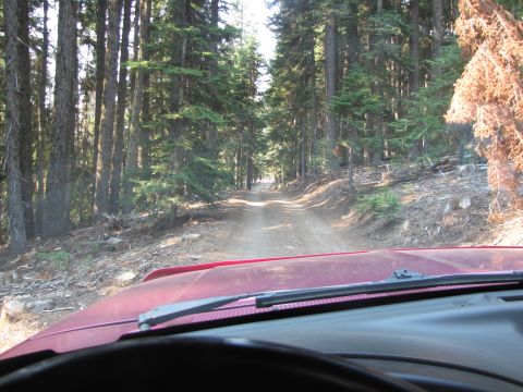 1992 Ford F-150 - Driving down a dusty forest road. The view is from inside a vehicle looking forward.