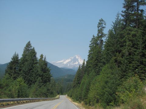 1992 Ford F-150 - A scenic drive through a mountainous region with dense evergreen trees lining the road.