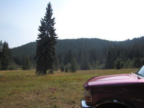 1992 Ford F-150 - A maroon 1992 Ford F-150 is parked in a scenic, wooded area, with a large pine tree dominating the landscape.