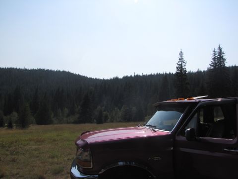 1992 Ford F-150 - A maroon 1992 Ford F-150 is parked in a field with a forest-covered hill in the background under a clear sky.