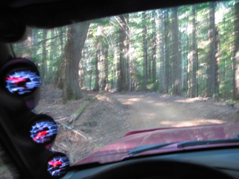 1992 Ford F-150 - Interior view of a vehicle with gauges, driving on a forest road.
