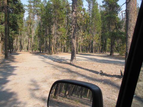 1992 Ford F-150 - View from inside a vehicle shows a forest clearing and the reflection of trees in the side mirror.
