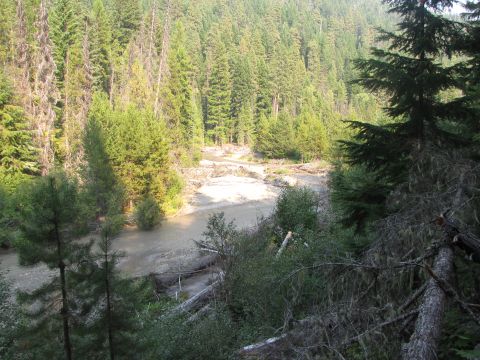 1992 Ford F-150 - A wide shot of a river winding through a dense forest, with fallen logs and debris visible along the banks.