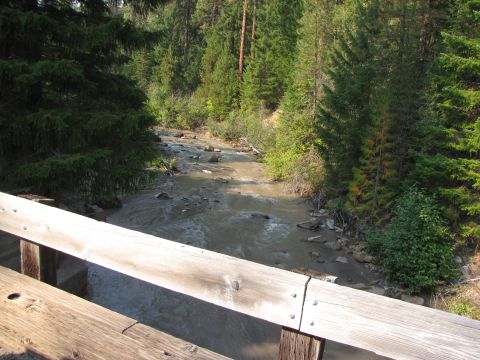 1992 Ford F-150 - A wooden bridge railing frames a view of a shallow, rocky stream flowing through a dense forest.
