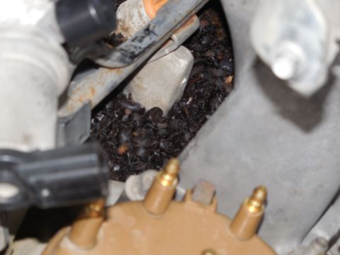 1993 Ford Bronco - Squirrel nest under the plenum. Luckily, it doesn't seem like he ate any wiring.