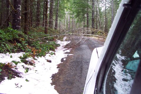 1996 Ford Bronco - Made it to the first rock quarry but couldn't get past these down trees on the way to the second rock quarry. (2/24/2004)