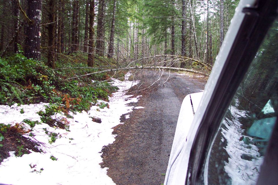 Made it to the first rock quarry but couldn't get past these down trees on the way to the second rock quarry.
(2/24/2004)