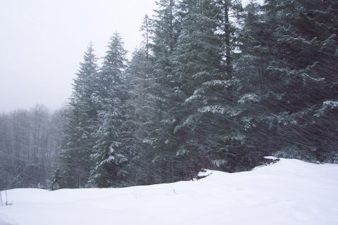 1996 Ford Bronco - Snowing hard and the wind blowing pretty good too. (2/24/2004)