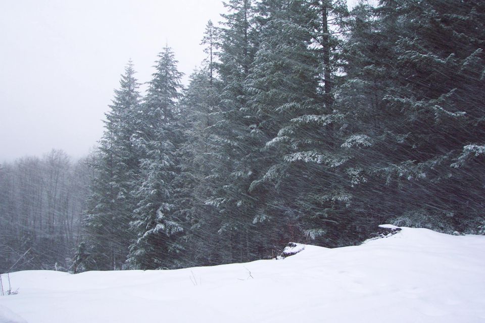 Snowing hard and the wind blowing pretty good too.
(2/24/2004)