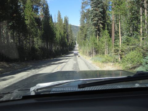 1989 Ford Bronco - A view from the driver's seat looking down a long, tree-lined road with another vehicle in the distance.