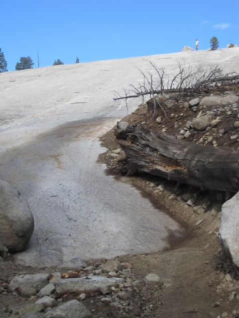 1989 Ford Bronco - A natural scene of a snowy hillside with scattered rocks and fallen trees under a bright blue sky.