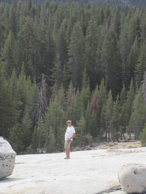 1989 Ford Bronco - A person stands in a natural landscape with a thick forest in the background.