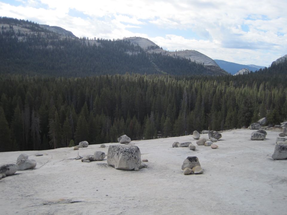 Rocky terrain with scattered boulders and a dense pine forest stretching towards distant mountains under a cloudy sky