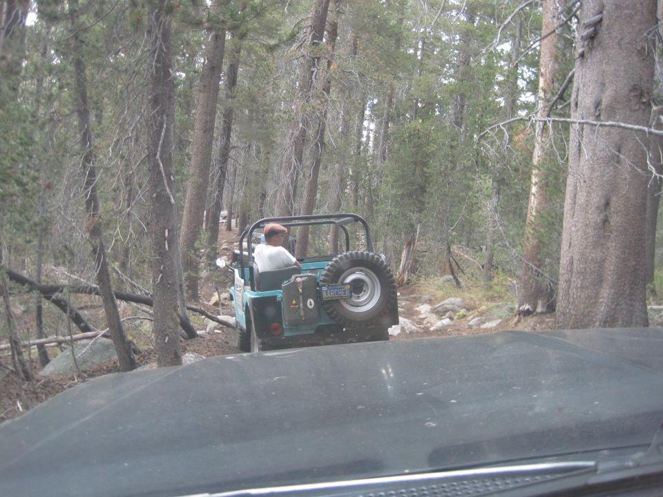 Jeep CJ-7 driving on a dirt trail in a forest. Spare tire mounted on the back
