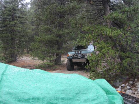 1989 Ford Bronco - A 1989 Ford Bronco is parked on a dirt road in a forest while it rains.