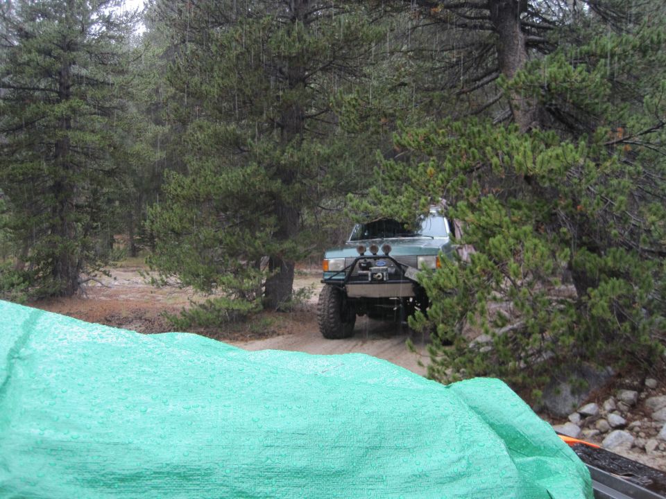 1989 Ford Bronco with aftermarket bumper and lights parked on a dirt road in a pine forest during rain