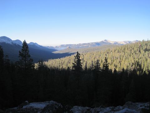 1989 Ford Bronco - A vast mountain landscape unfolds under a clear blue sky, with dense pine forests covering the slopes and distant peaks visible.