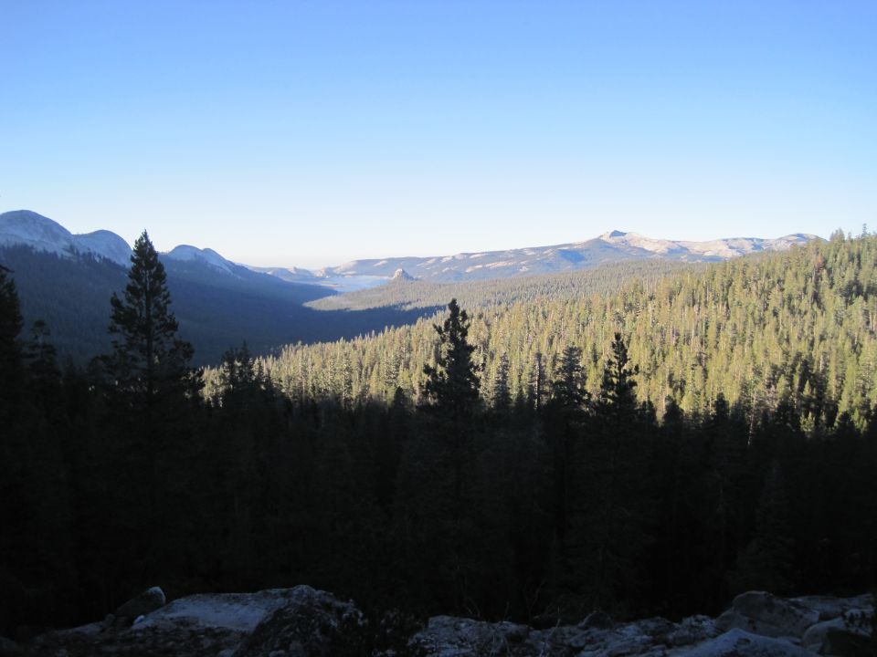 Mountain landscape with pine forest and clear blue sky