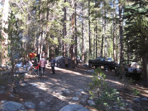 1989 Ford Bronco - A forest campsite is set up with tents, chairs, and multiple vehicles including trucks and a Jeep.
