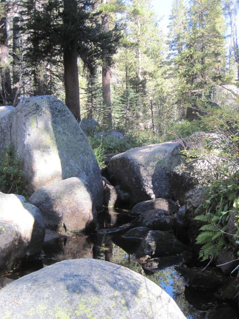 1989 Ford Bronco - A natural landscape large boulders and a clear stream winding through a wooded area with tall pine trees.