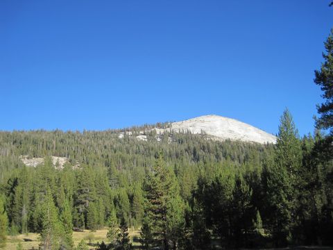 1989 Ford Bronco - A scenic view of a mountain covered in trees under a clear blue sky.