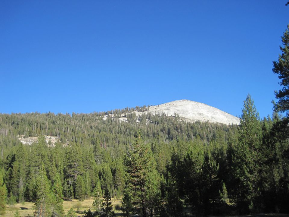 Mountain landscape with trees and blue sky