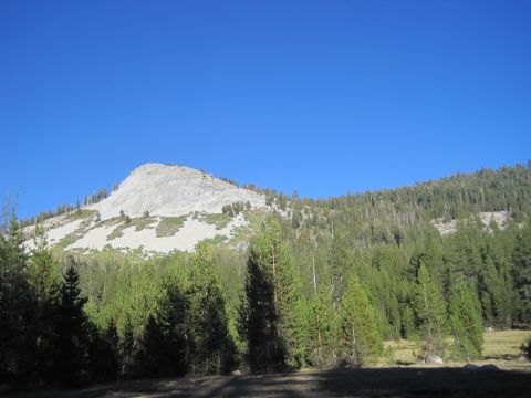 1989 Ford Bronco - A vast mountain landscape with dense evergreen forests stretching across the slopes under a bright blue sky.