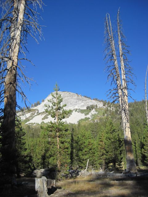 1989 Ford Bronco - A scenic mountain landscape with dead trees in the foreground and a large, rocky peak in the background.