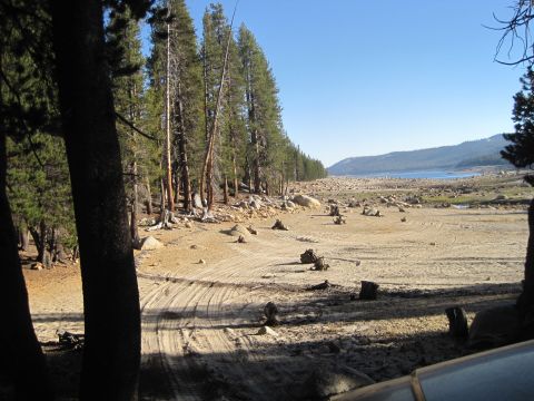 1989 Ford Bronco - A dry lakebed with tire tracks and tree stumps stretches towards a distant lake and hills under a clear blue sky.