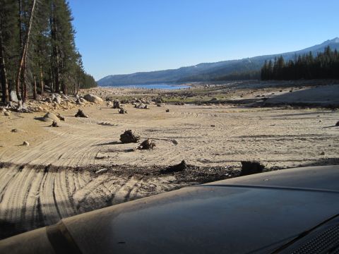1989 Ford Bronco - View from inside a vehicle looking out over a dry lake bed with numerous tree stumps and a distant body of water under a clear blue sky.