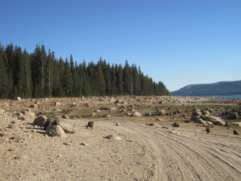 1989 Ford Bronco - A dry, rocky landscape with tire tracks suggests a vehicle passed through this area near a forest and a body of water.