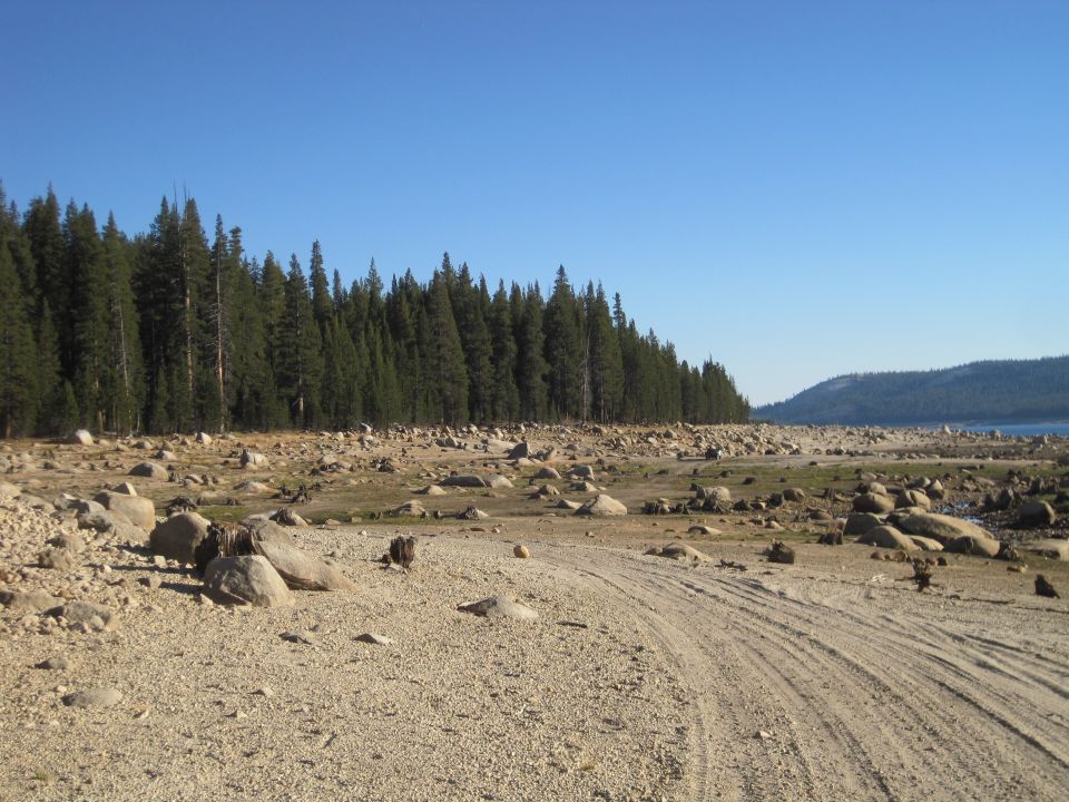 Rocky, dry lakebed with tire tracks leading towards a forest and distant hills under a clear blue sky