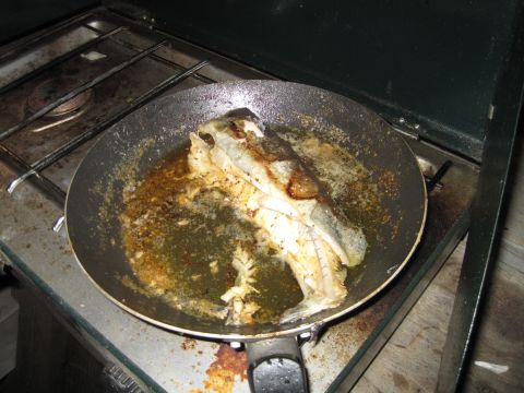 1989 Ford Bronco - Fish being fried in a pan on a portable gas stove.
