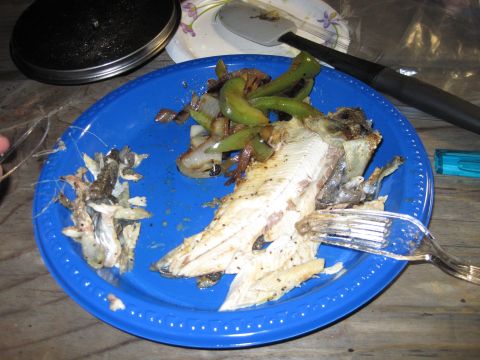 1989 Ford Bronco - A close-up view of a blue plate filled with a meal of fish and vegetables, ready to be eaten.