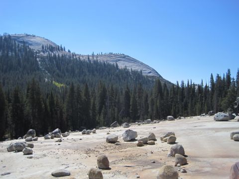 1989 Ford Bronco - A vast mountain landscape features a rocky foreground, a dense pine forest, and a prominent, smooth mountain peak under a bright blue sky.