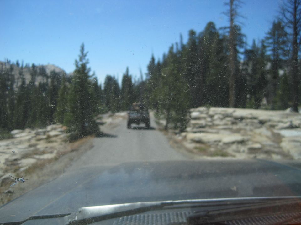 Dark SUV driving on a paved road through a forest with rocky terrain