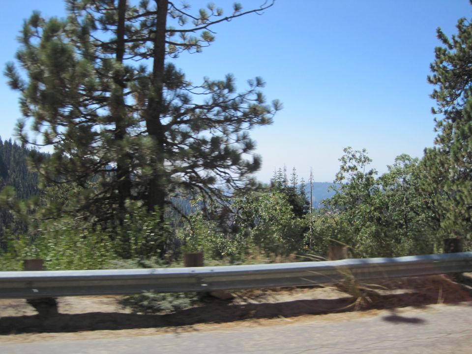 Mountain landscape with pine trees, green foliage, and a metal guardrail along a road
