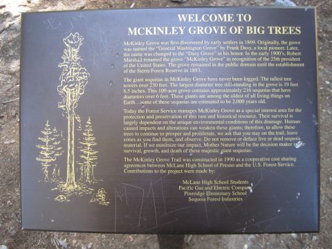 1989 Ford Bronco - Photo of a Forest Service interpretive park sign about McKinley Grove sequoias, not a technical vehicle document.