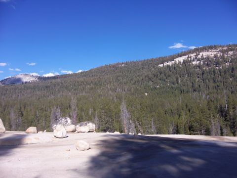 1968 Ford Bronco - A scenic view of a forested mountain slope on a clear day, with large rocks in the foreground.