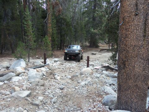 1968 Ford Bronco - A truck navigates a rough, rocky path through a dense forest.