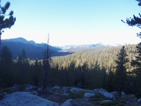 1968 Ford Bronco - A scenic view of a vast pine forest stretching towards distant mountains under a clear blue sky.