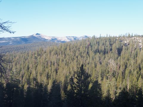1968 Ford Bronco - A vast forest stretches towards distant mountains under a clear blue sky, with a watermark for Supermotors.net visible.